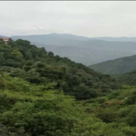 Savoy Residency Hotel Mussoorie Kültér fotó